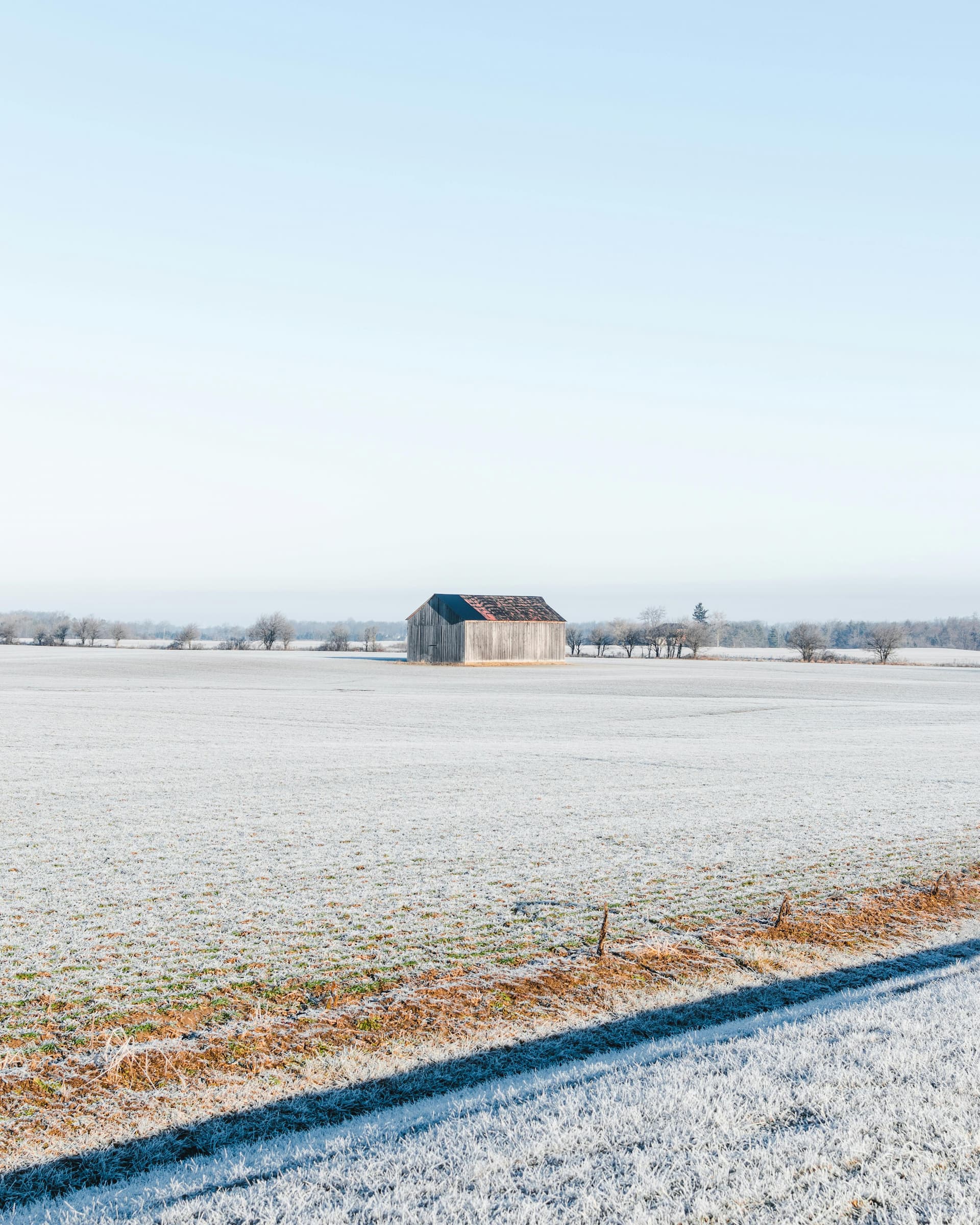 Winterklaar Maken: Voorbereiding van Gras op de Winter en Bescherming Tegen Kou